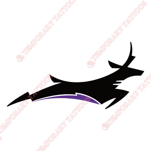 Grand Canyon Antelopes Customize Temporary Tattoos Stickers NO.4512